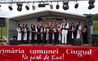 Rosia_2011_03.jpg