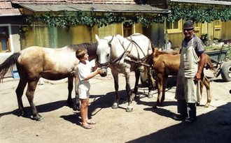 Rosia_1995_06.jpg