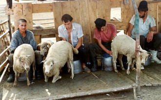 Rosia_1995_08.jpg
